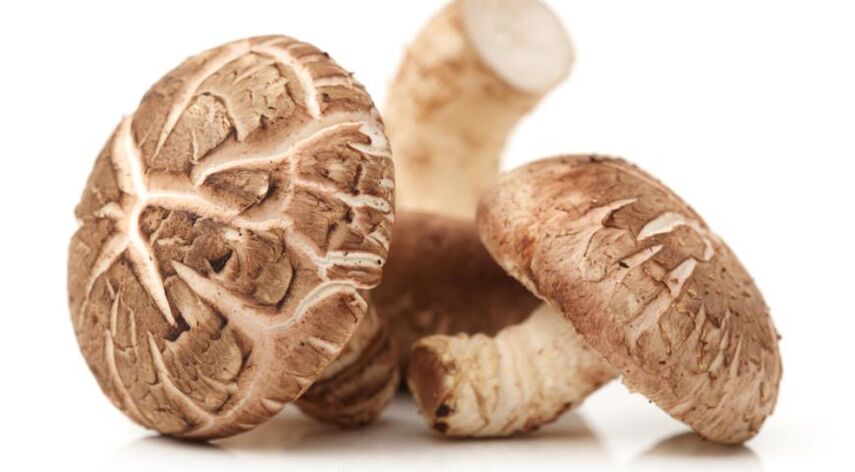 Predstonorm contiene funghi shiitake